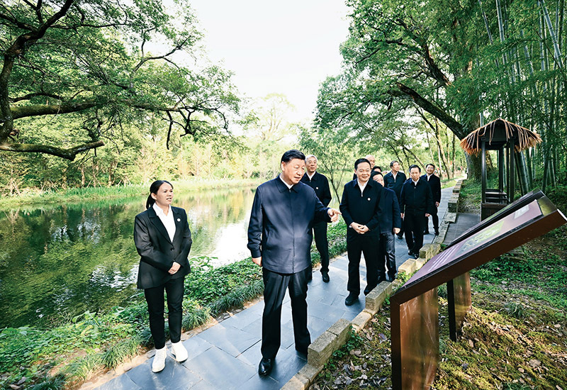 赌博网站导航