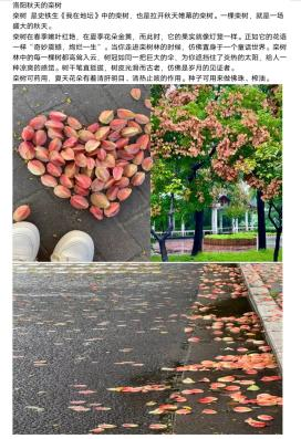 赌博网站导航