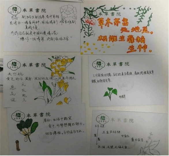 赌博网站导航