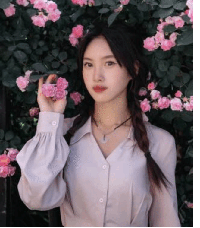 赌博网站导航