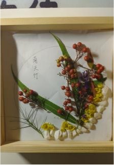 赌博网站导航