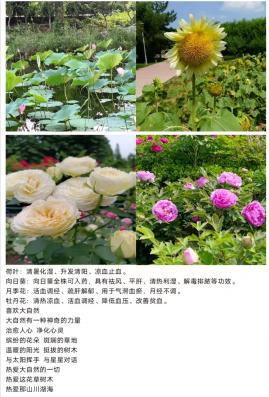 赌博网站导航